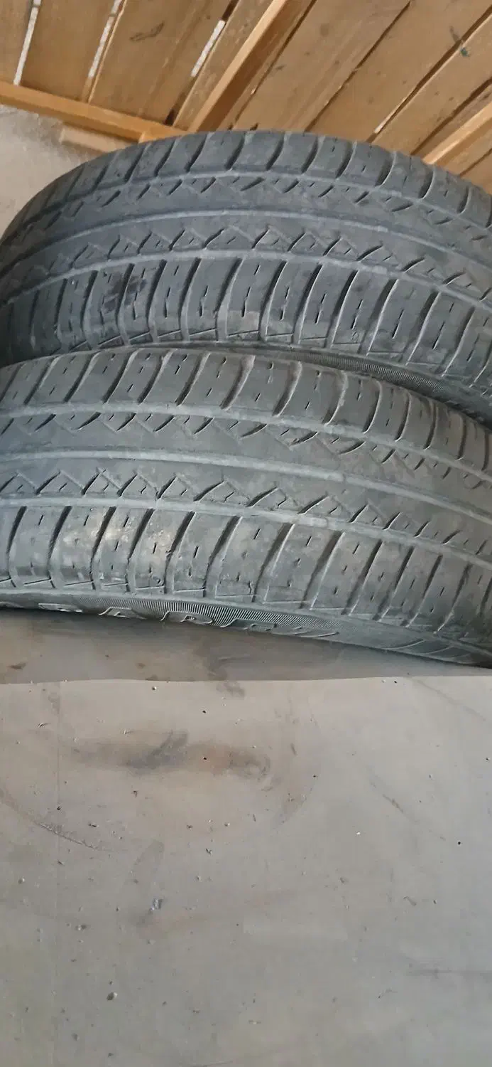 لاستیک ۱۴|قطعات یدکی و لوازم جانبی|تربت‌حیدریه, پائین ولایت|دیوار