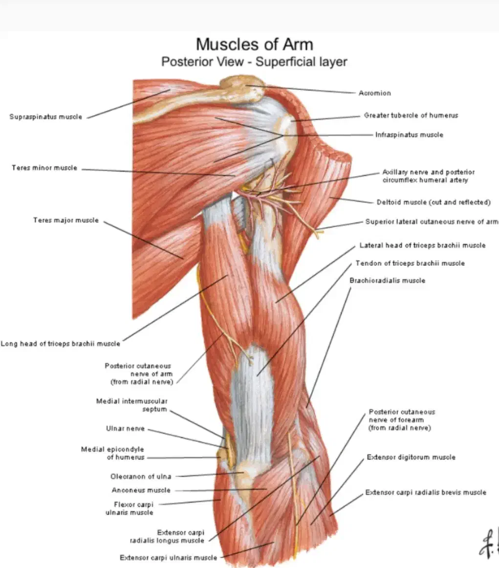دستیار فیزیوتراپی و پذیرش|استخدام درمانی، زیبایی، بهداشتی|پرند, فاز ۵|دیوار
