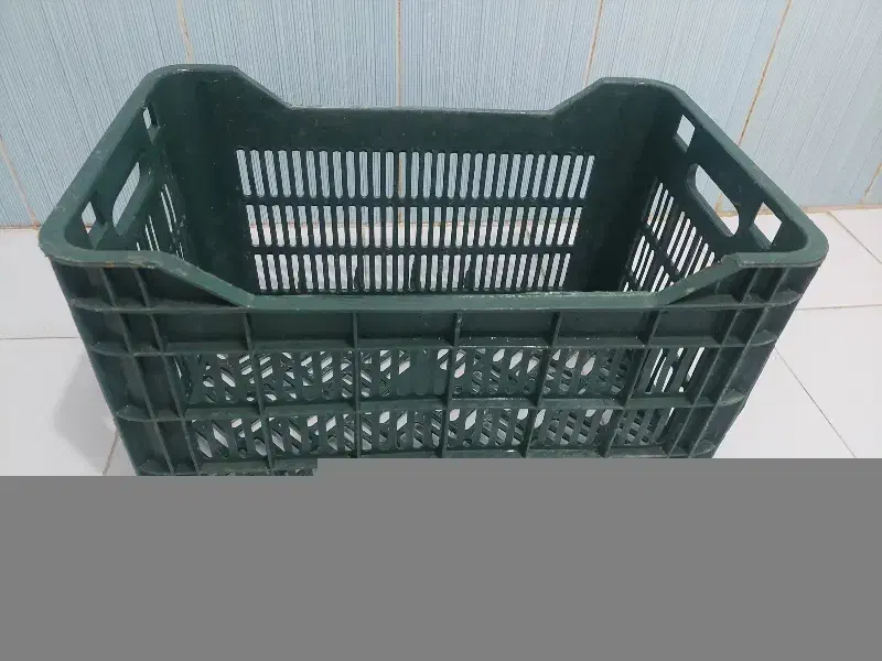 ۱۵ عدد جعبه پلاستیکی|ظروف نگهدارنده، پلاستیکی، یک‌بارمصرف|گنبد کاووس, |دیوار