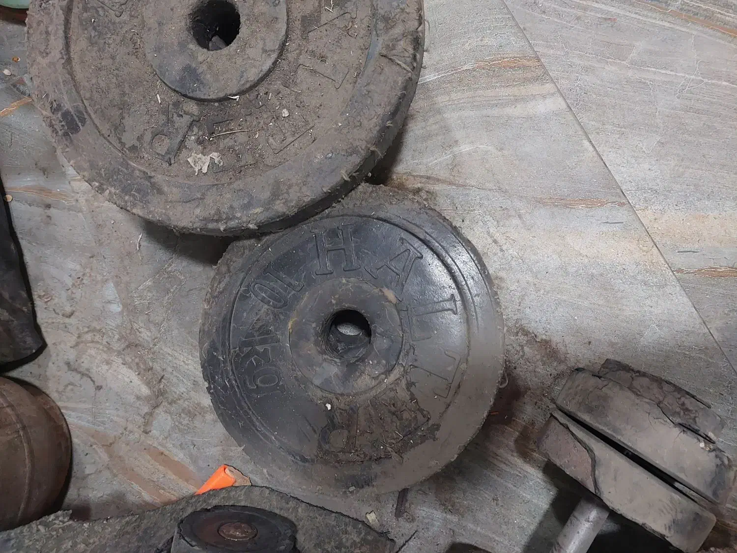 وزنه بدنسازی و دمبل|تجهیزات ورزشی|نیشابور, بلوار گلها|دیوار