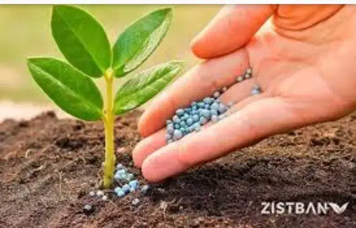 کود گوسفندی|خدمات باغبانی و درختکاری|کرمان, |دیوار