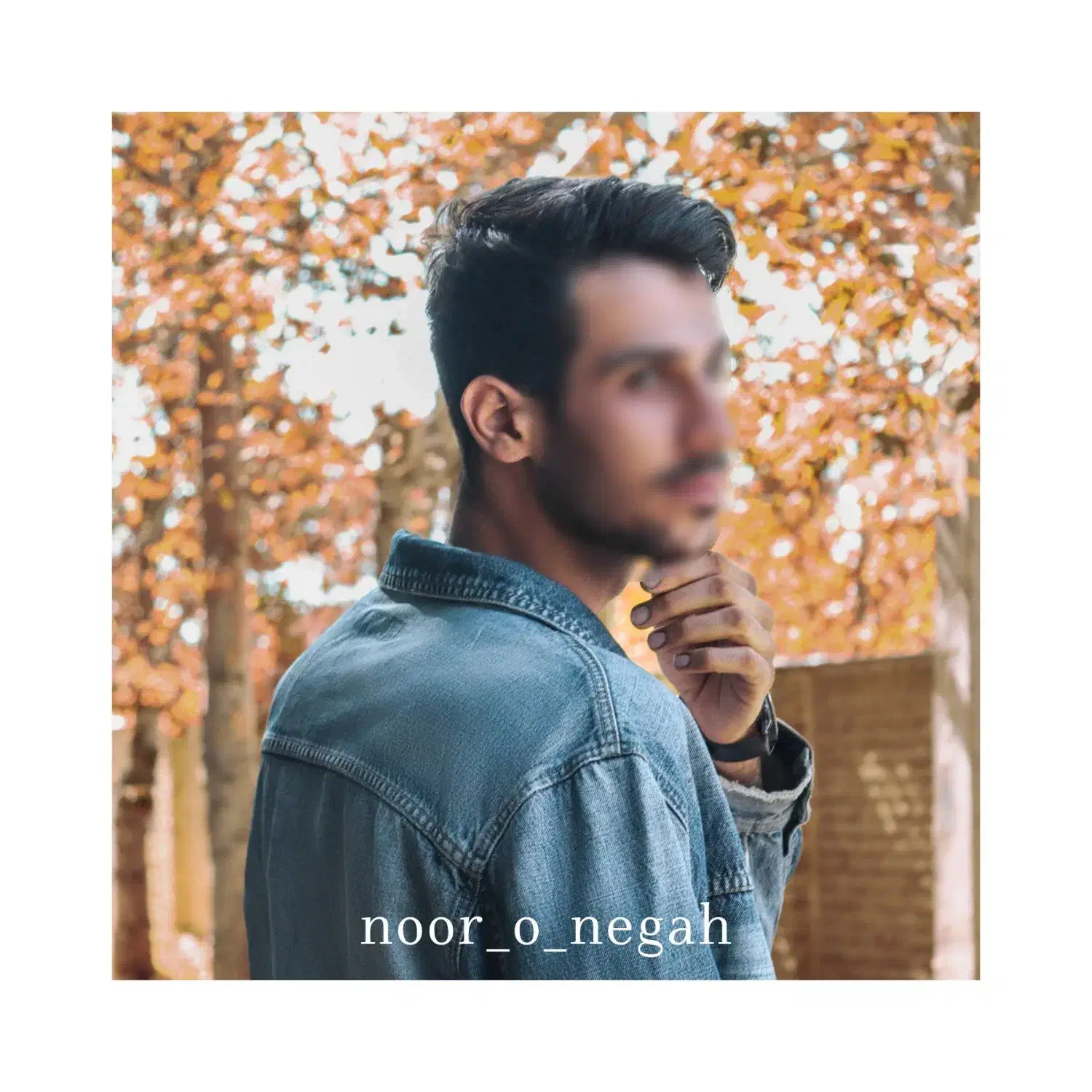 عکاسی پاییزی با قیمت کم ب همراه ادیت|خدمات پذیرایی، مراسم|محمدشهر, محمدشهر|دیوار