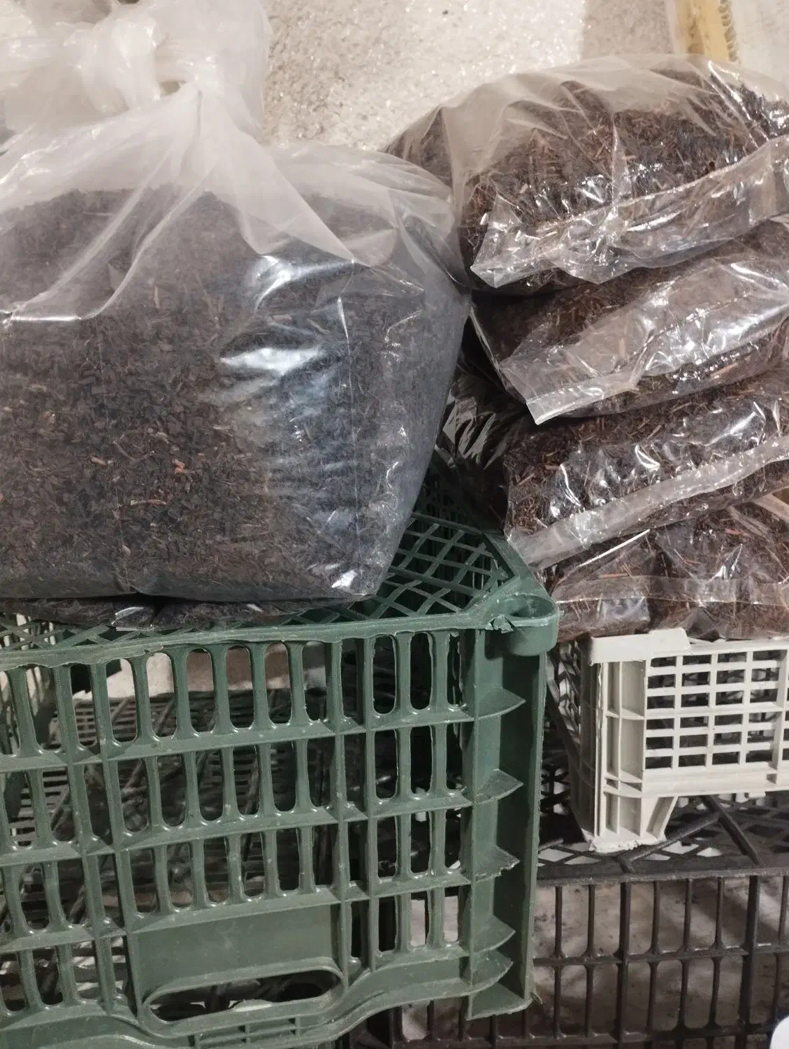 محصولات ارگانیک چای وعسل محلی سیاهمزگی|خوردنی و آشامیدنی|رشت, یخسازی|دیوار