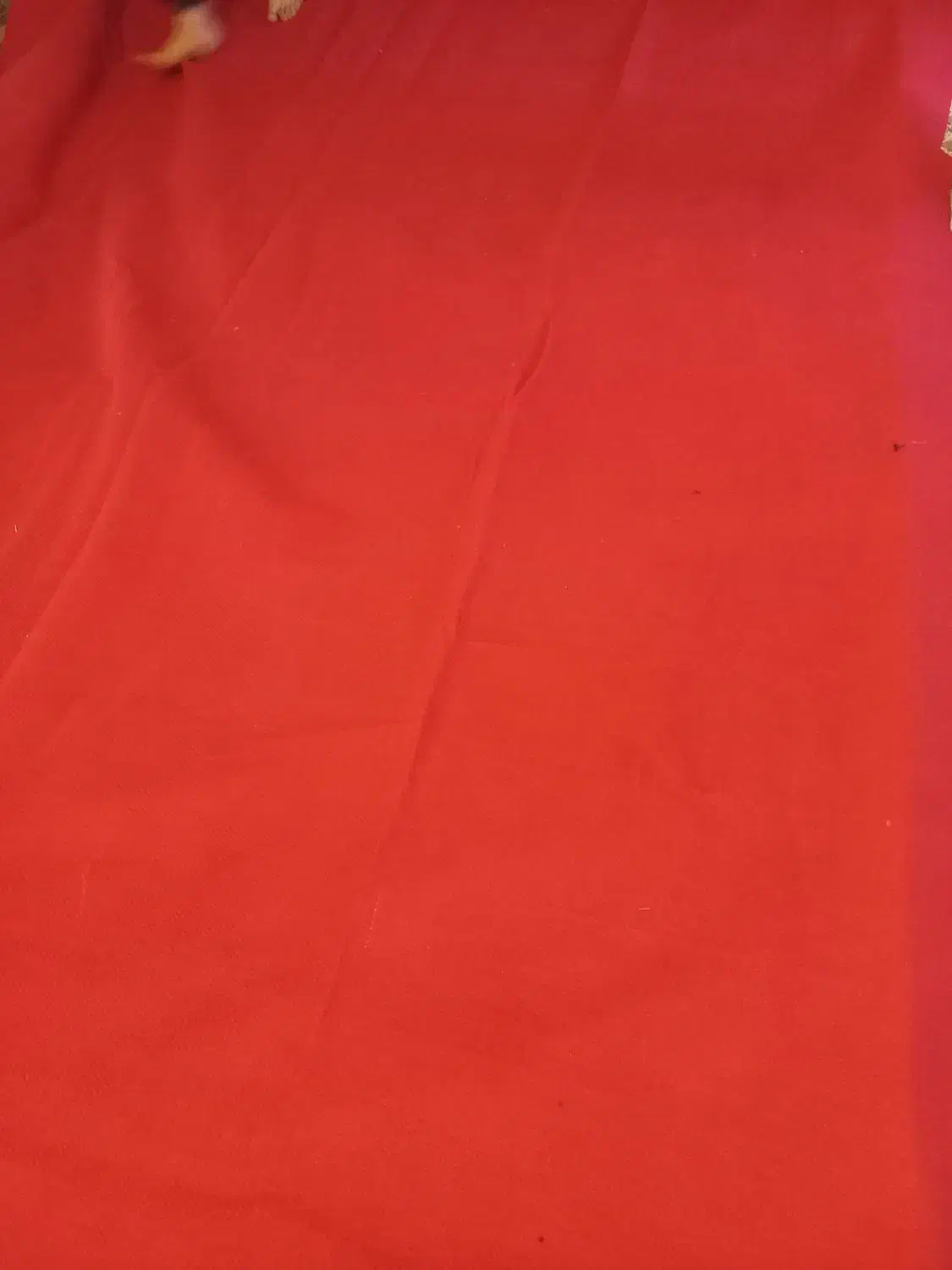 موکت|موکت|کوهدشت, |دیوار