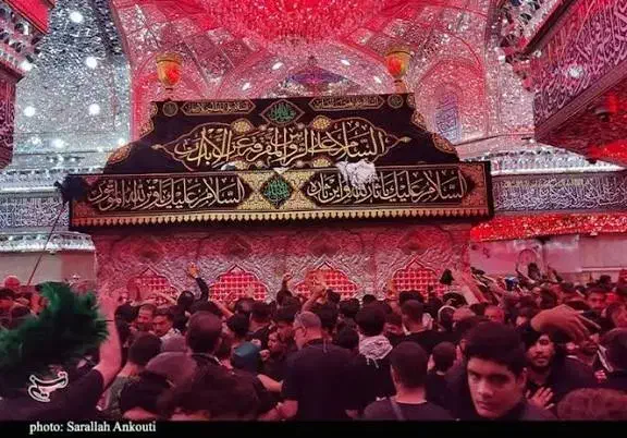 تور مسافرتی|تور و چارتر|املش, |دیوار