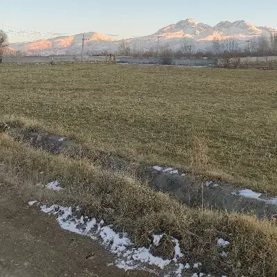 فروش یونجه|خدمات باغبانی و درختکاری|مشگین شهر, |دیوار