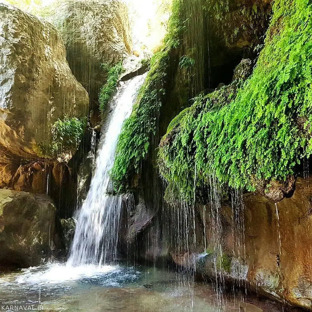 راهنمایی کنید|فعالیت داوطلبانه|شیراز, اکبر آباد|دیوار