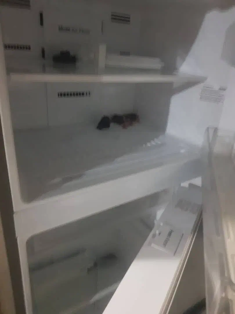 یخچال فریزر ال جی|یخچال و فریزر|شیراز, گود خزینه|دیوار