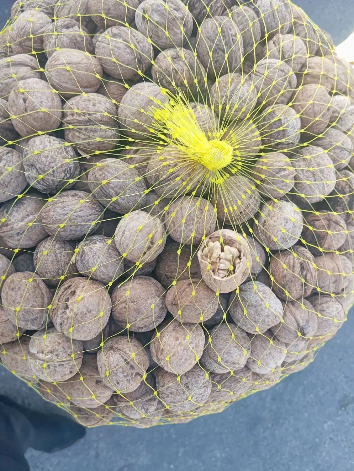 گردو درجه 1|عمدهفروشی|قروه, |دیوار