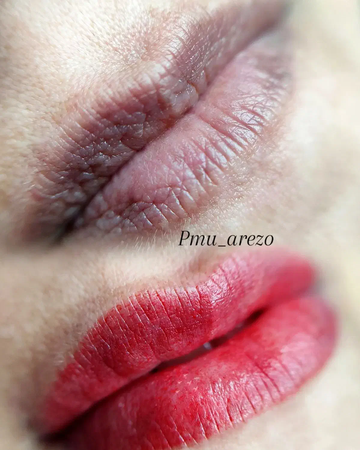 انجام خدمات میکرو و شید لب با منصفانه ترین قیمت|خدمات آرایشگری و زیبایی|شیراز, پودنک|دیوار