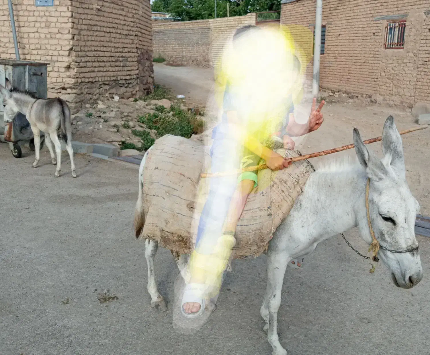 خر ه ماده با کره ۳ ماهه|حیوانات مزرعه|خرقان, |دیوار