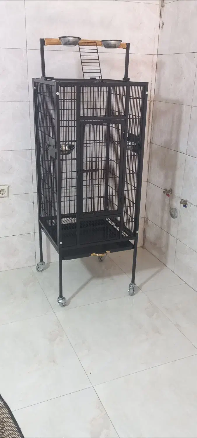 قفس کاسکویی آرایی قفس پرنده قفس حیوانات طوطی|لوازم جانبی حیوانات|قدس, شهر‌قدس|دیوار