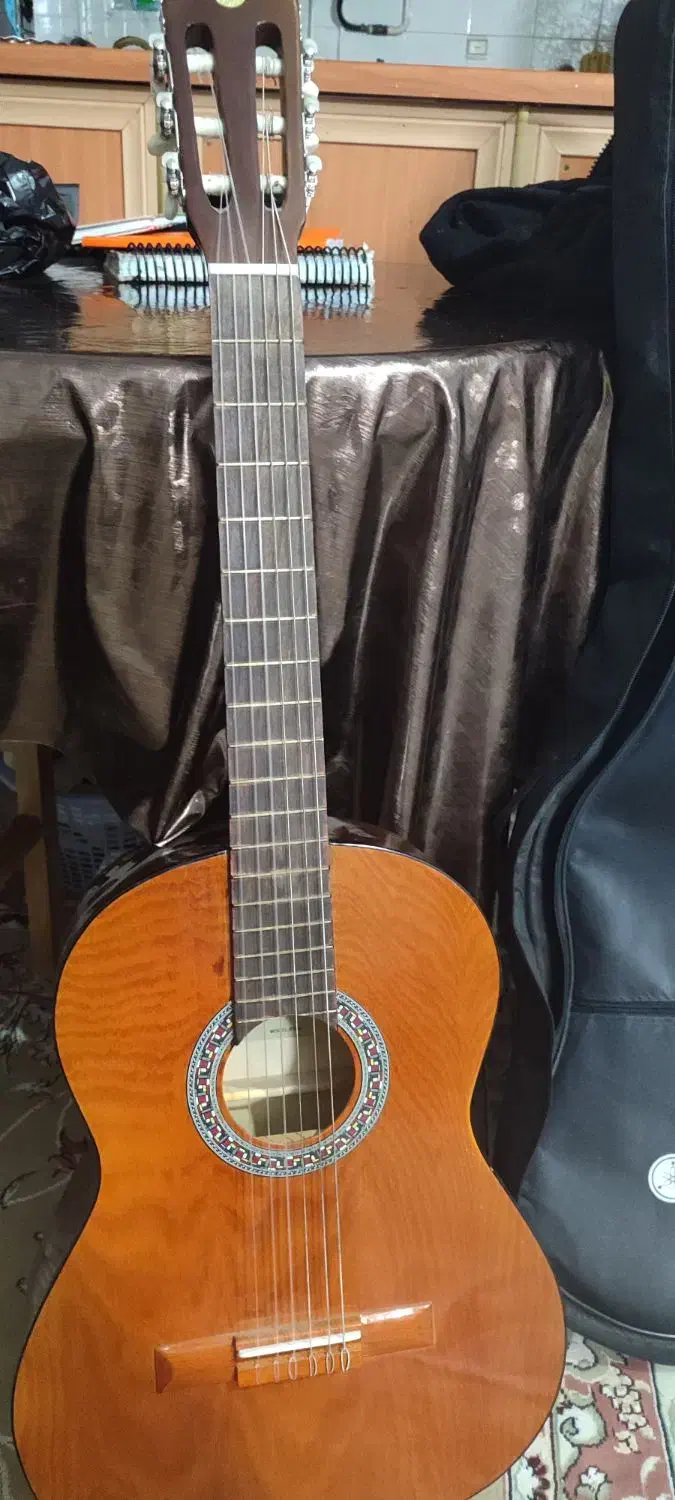 گیتار ، VERONA|گیتار، بیس، امپلیفایر|بجنورد, |دیوار