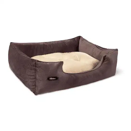 لوازم سگ|لوازم جانبی حیوانات|کرمان, |دیوار