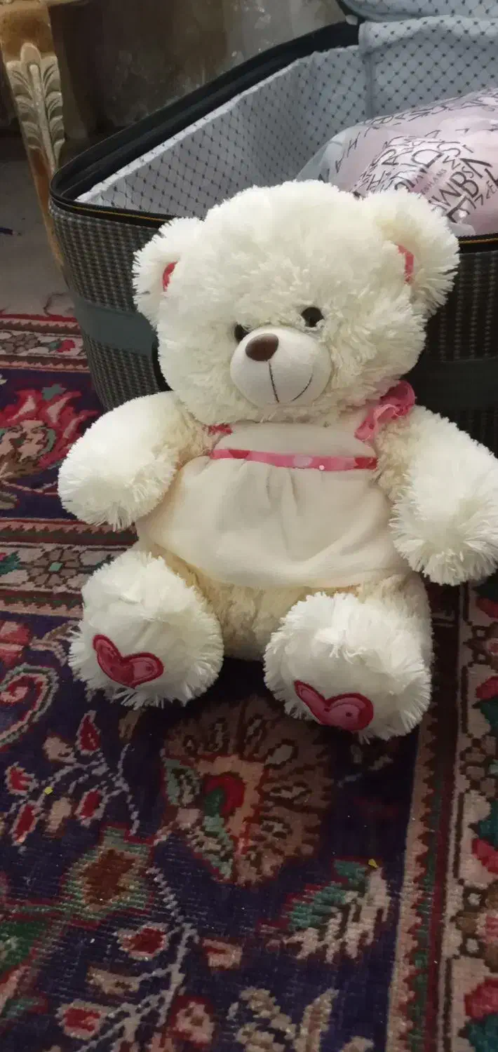 عروسک خرسی|اسباب‌‌بازی|زنجان, |دیوار