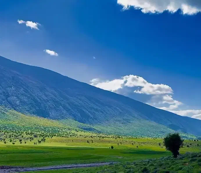 ضامن کارمند رسمی میخوام|خدمات مالی، حسابداری، بیمه|سیوان, |دیوار