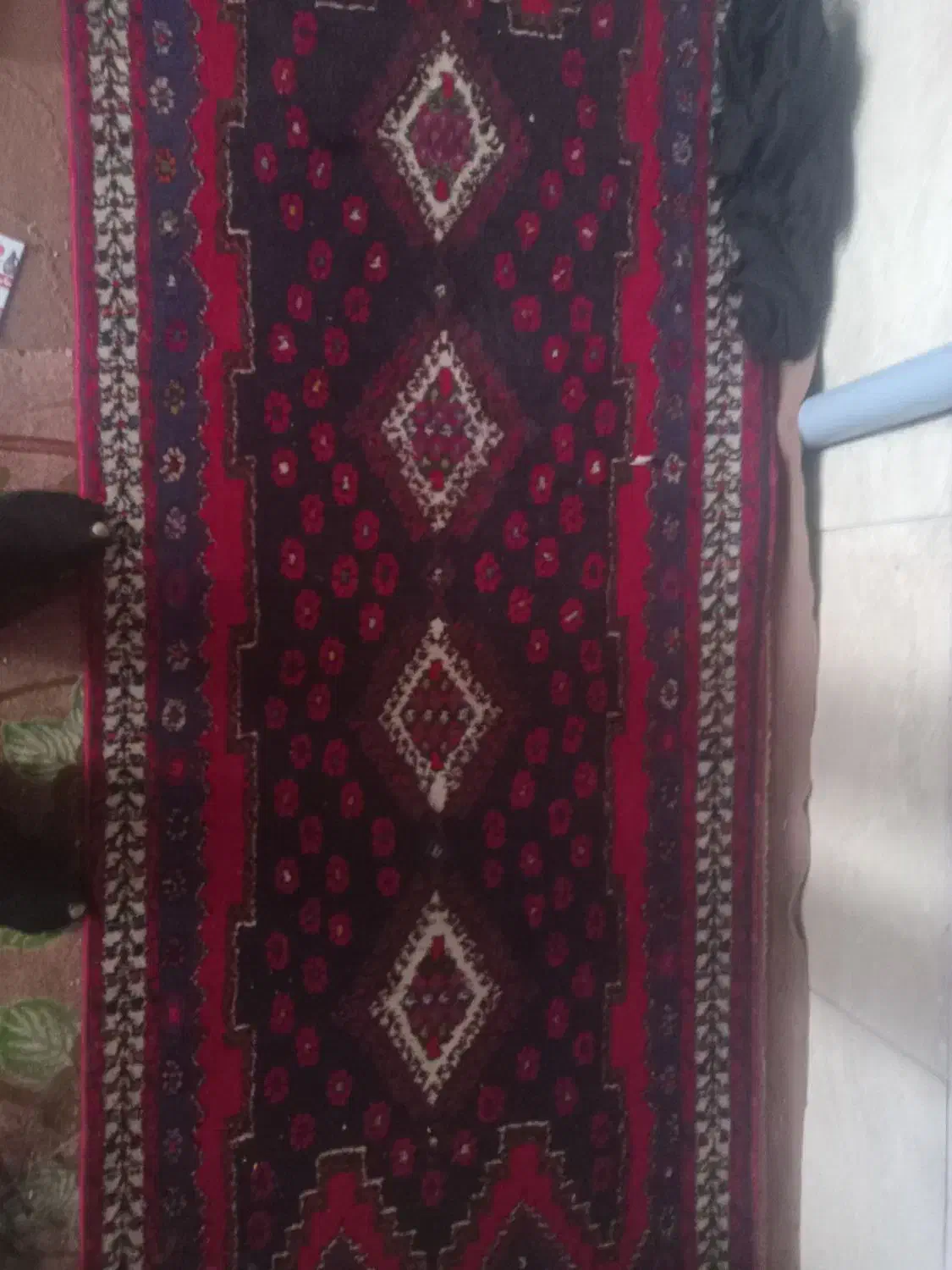 قالی محلی دست باف کناره|فرش|سیرجان, |دیوار