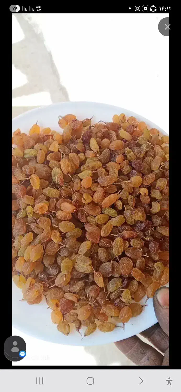 گردو.کشمش شیروان خراسان تضمینی|خوردنی و آشامیدنی|یزد, |دیوار