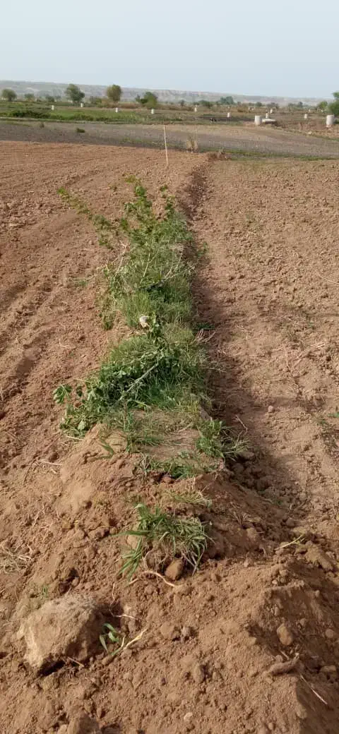 4هزارمترزمبن کشاورزی در روستای شرفه گرمادوز مغان|فروش دفتر صنعتی، کشاورزی، تجاری|گرمادوز, |دیوار