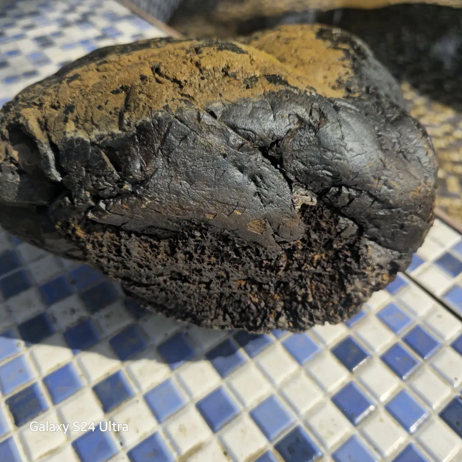 شهاب سنگ|کلکسیون اشیاء عتیقه|کرمان, |دیوار