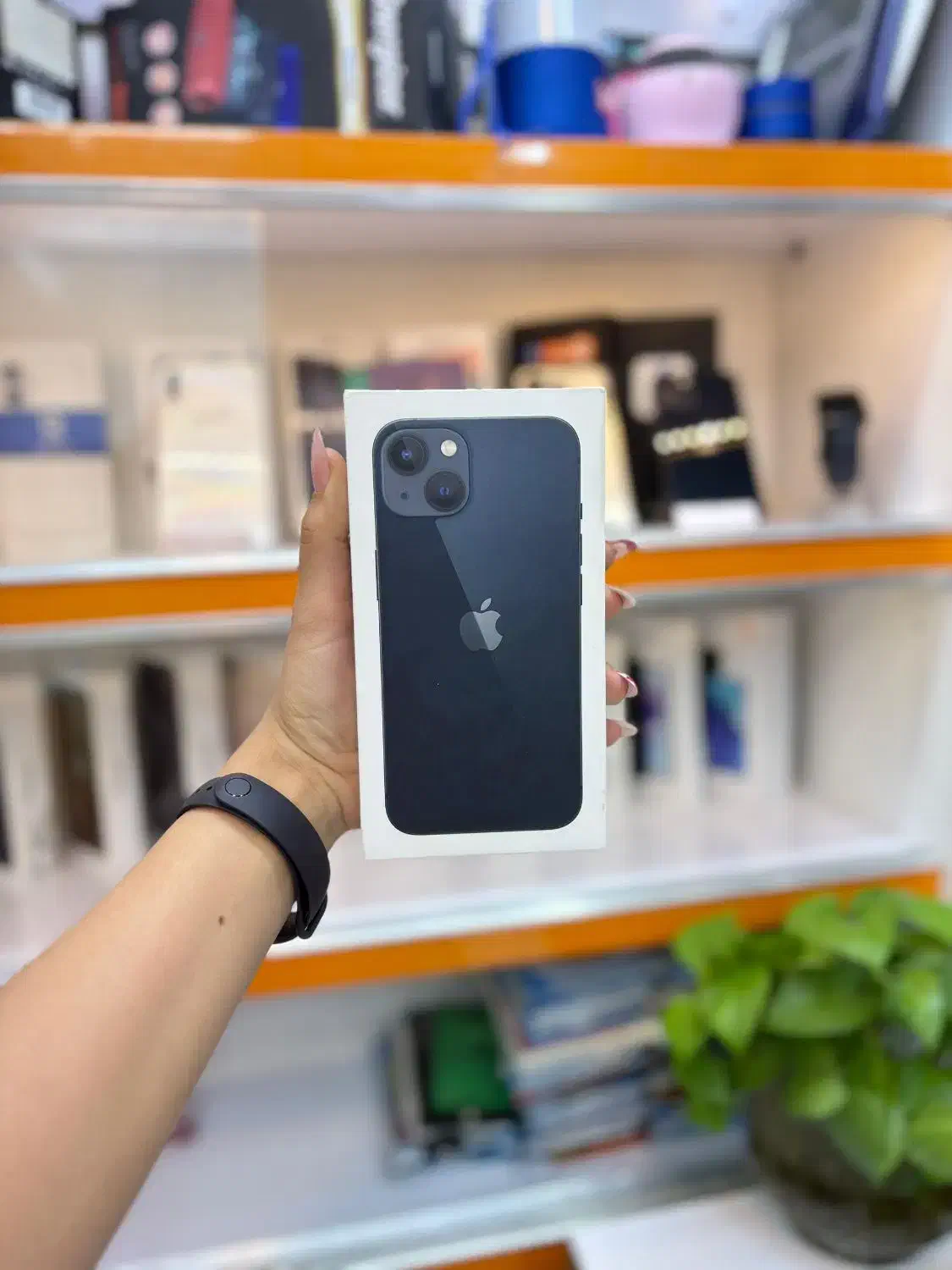 آیفون 13 iPhone 13 normal|موبایل|شیراز, ملاصدرا|دیوار