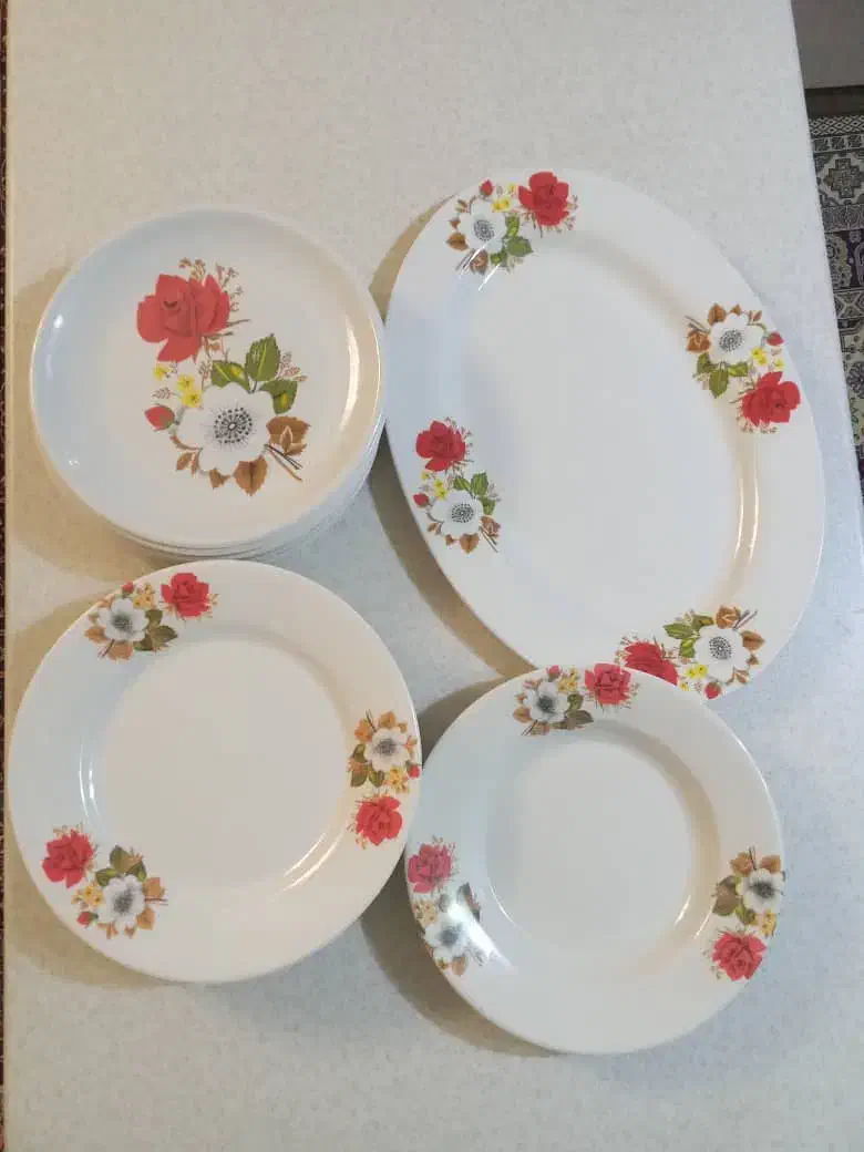 ملامین|ظروف سرو و پذیرایی|تهران, شهرک ولیعصر جنوبی|دیوار