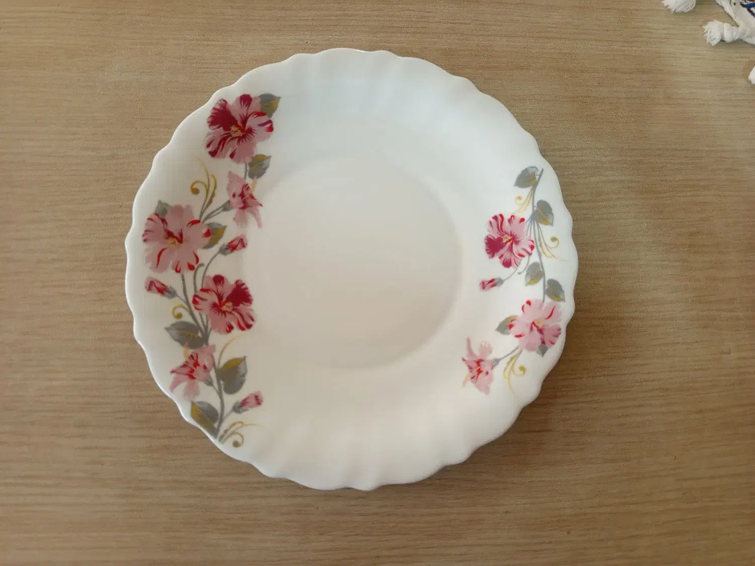 سرویس آرکوپال ۲۴نفره|ظروف سرو و پذیرایی|بیرجند, |دیوار