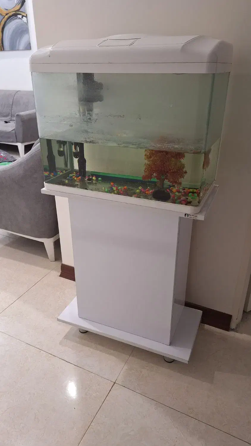 آکواریوم|ماهی|تهران, والفجر (افسریه)|دیوار