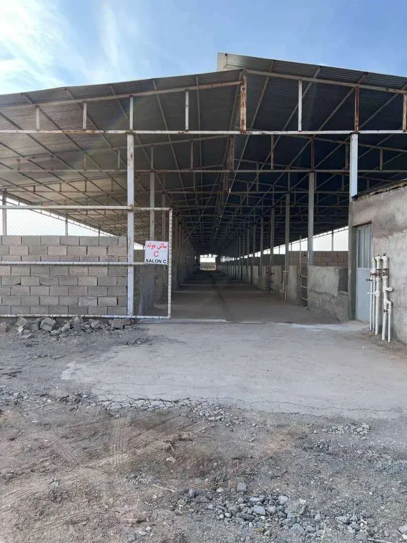 فروش مرغداری گوشتی|فروش دفتر صنعتی، کشاورزی، تجاری|گرمسار, |دیوار