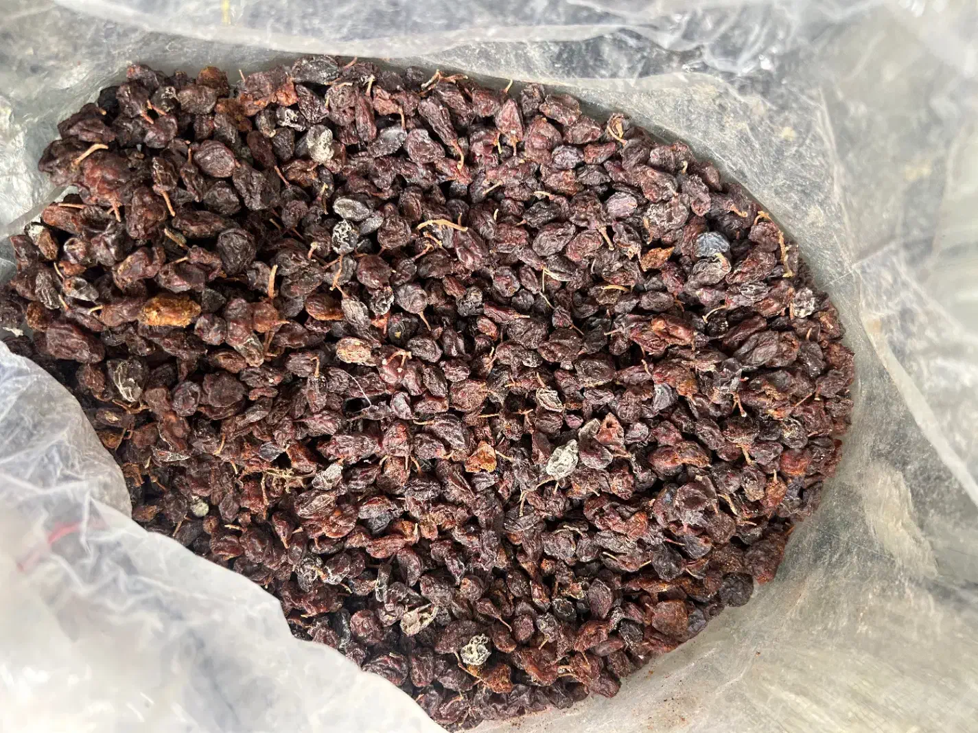 کشمش|عمدهفروشی|قزوین, |دیوار