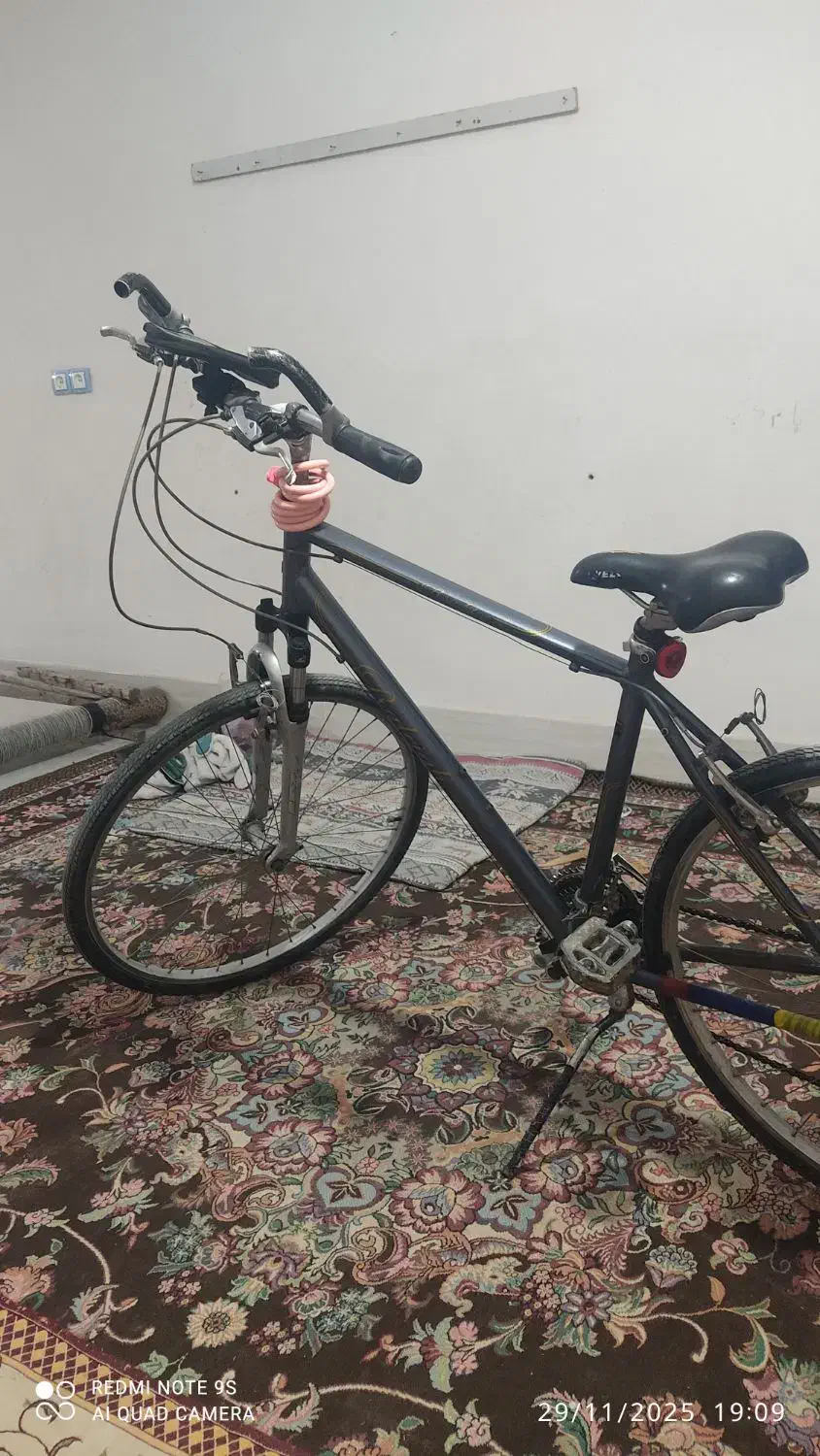 دوچرخه مسابقه ای|دوچرخه، اسکیت، اسکوتر|سیمین شهر, |دیوار