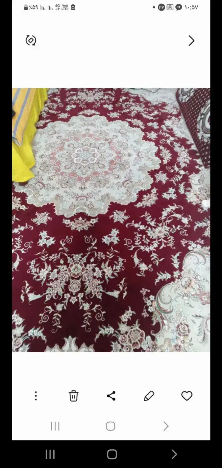 قالی|فرش|گرگان, |دیوار