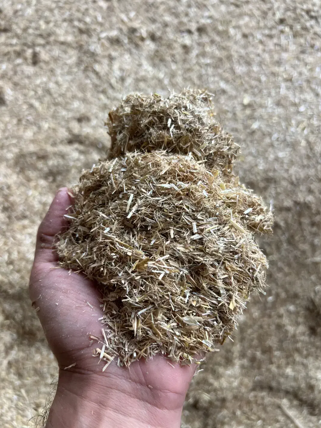 کاه کوبیده گندم|لوازم جانبی حیوانات|سیمین شهر, |دیوار