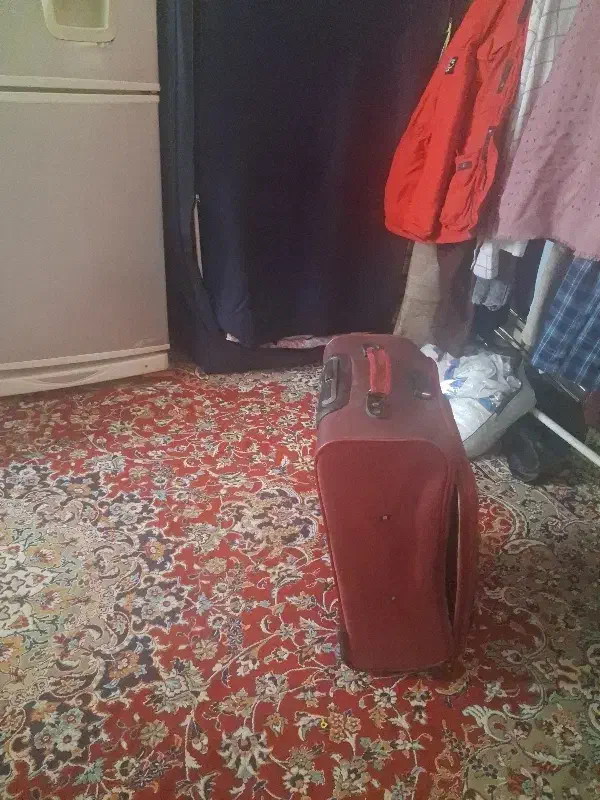 چمدان|کیف، کفش، کمربند|سنندج, |دیوار