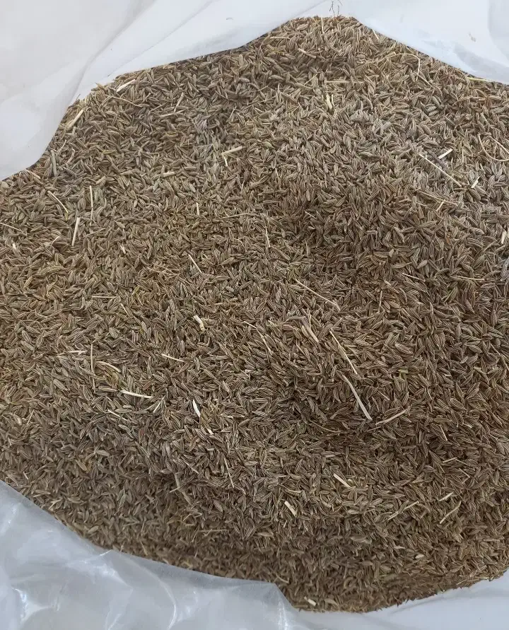 زیره سبز|عمده‌فروشی|قائن, |دیوار