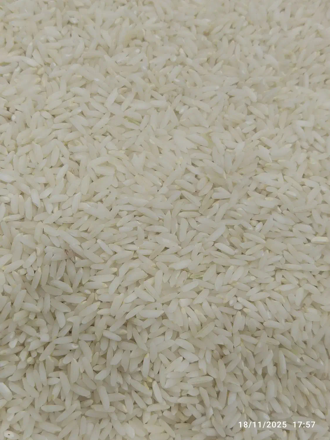 برنج محلی درجه یک دورود|خوردنی و آشامیدنی|دورود, |دیوار