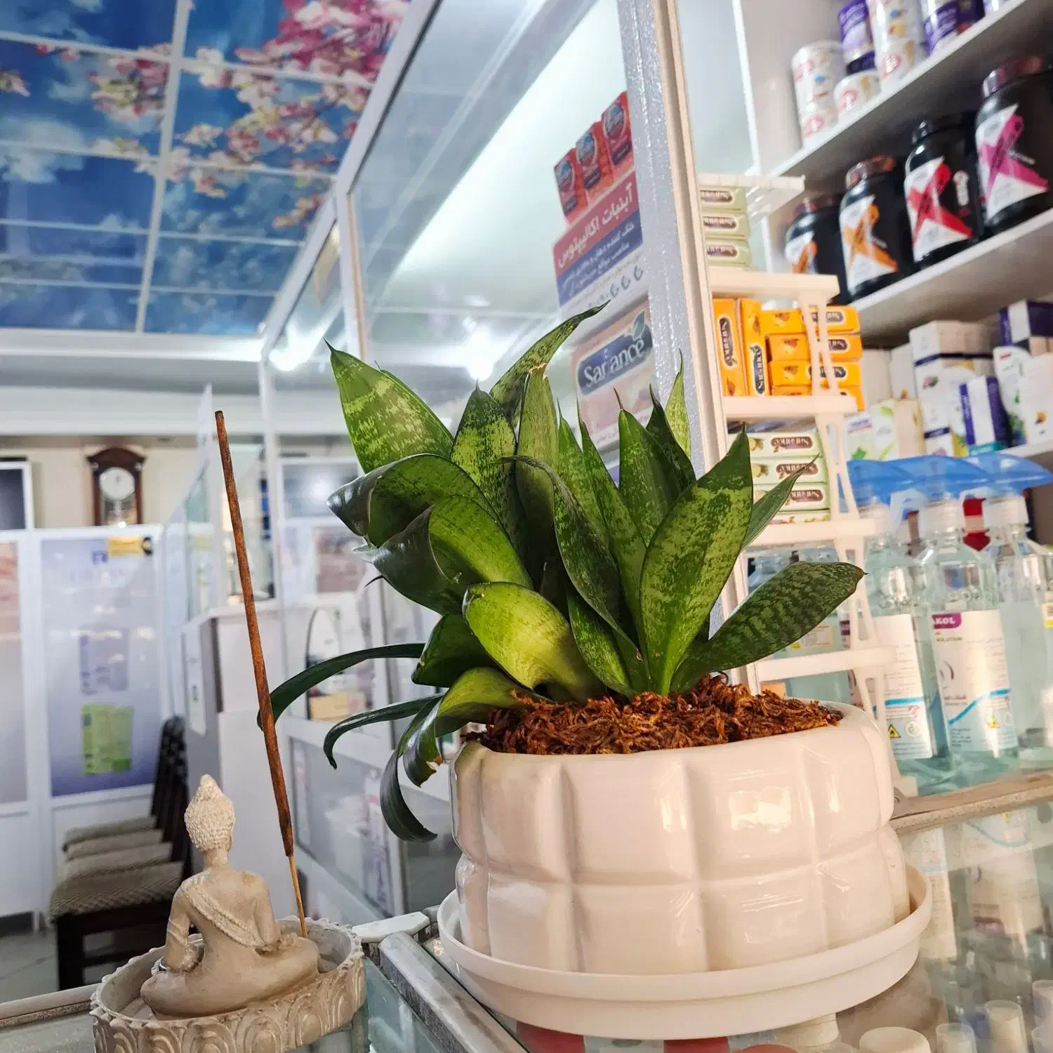 پذیرش کارآموز داروخانه|استخدام درمانی، زیبایی، بهداشتی|تهران, سهروردی|دیوار