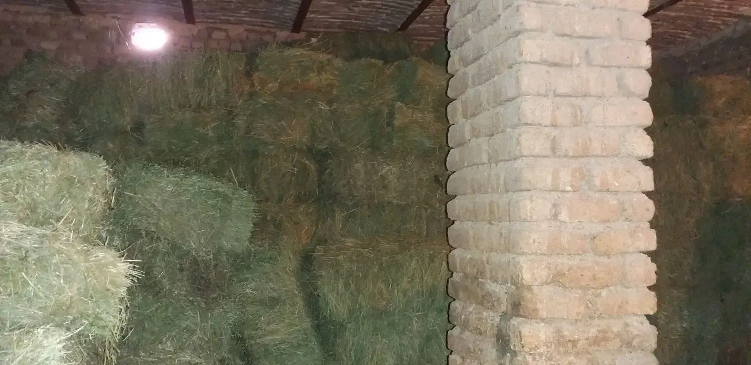 سلام پرس شبدر و یونجه|خدمات باغبانی و درختکاری|بروجرد, |دیوار