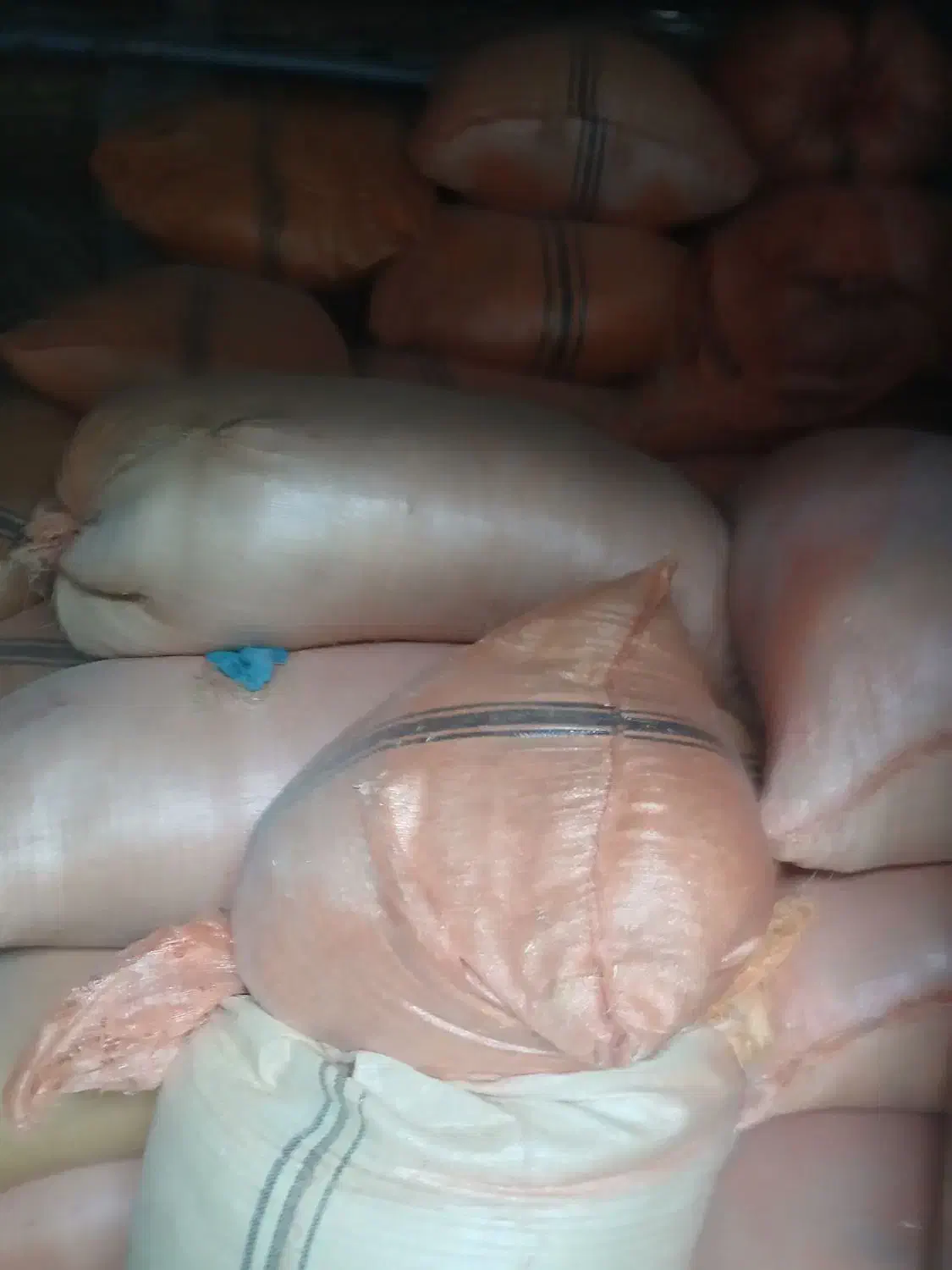 کاه|حیوانات مزرعه|صادق آباد, |دیوار