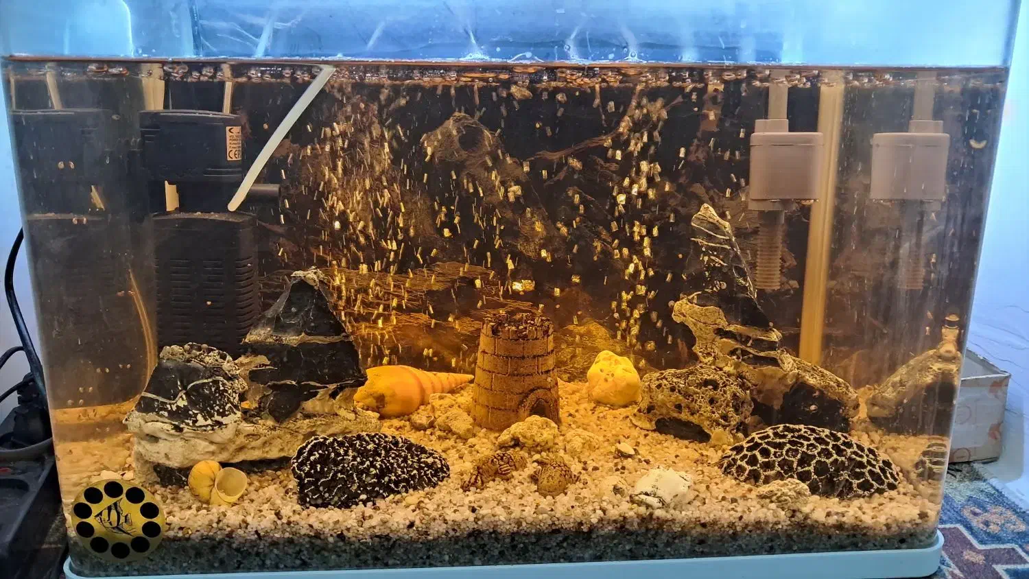 آکواریوم با وسایل و تزئینات کامل|ماهی|شوشتر, |دیوار