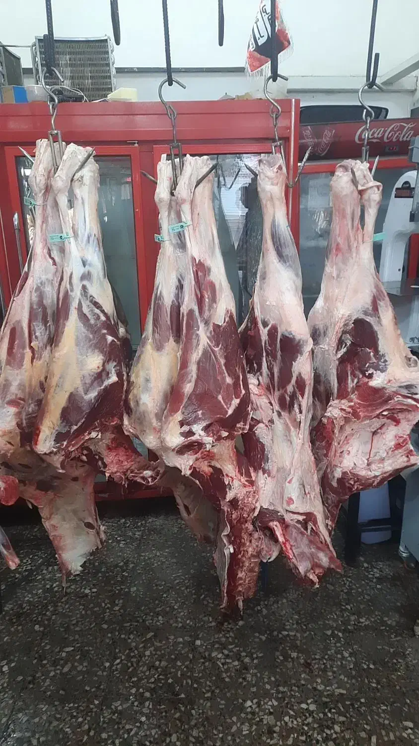 ارزانسرای گوشت|خوردنی و آشامیدنی|شوط, |دیوار