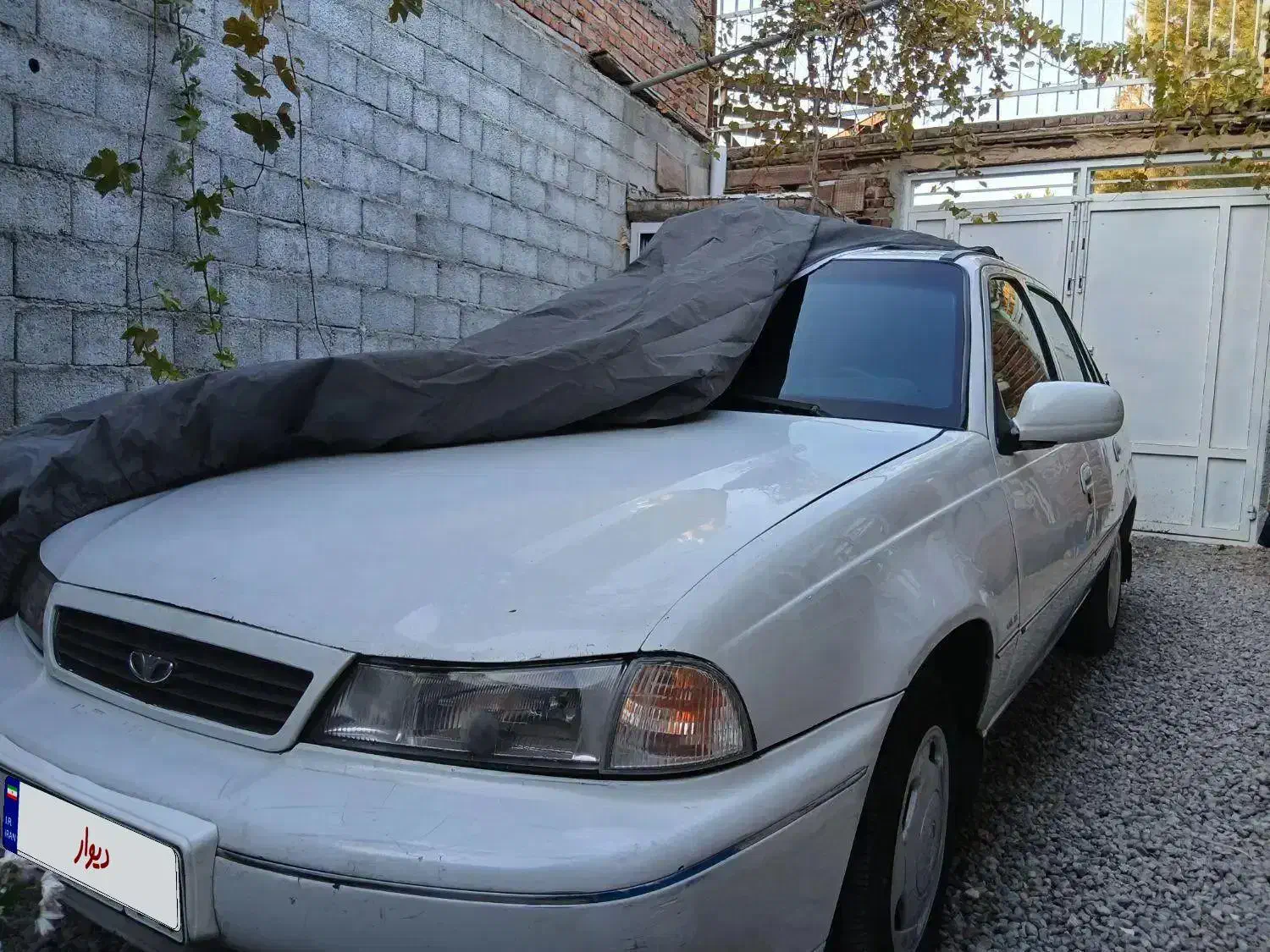 دوو سیلو بدون رنگ ۸۱|خودرو سواری و وانت|آذرشهر, |دیوار