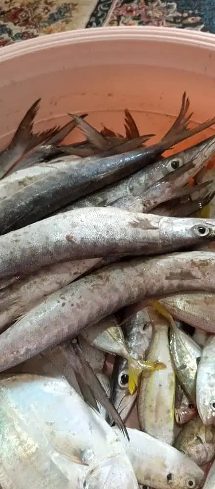 سالندار رستوران|استخدام خدمات فروشگاه و رستوران|بندر گناوه, |دیوار