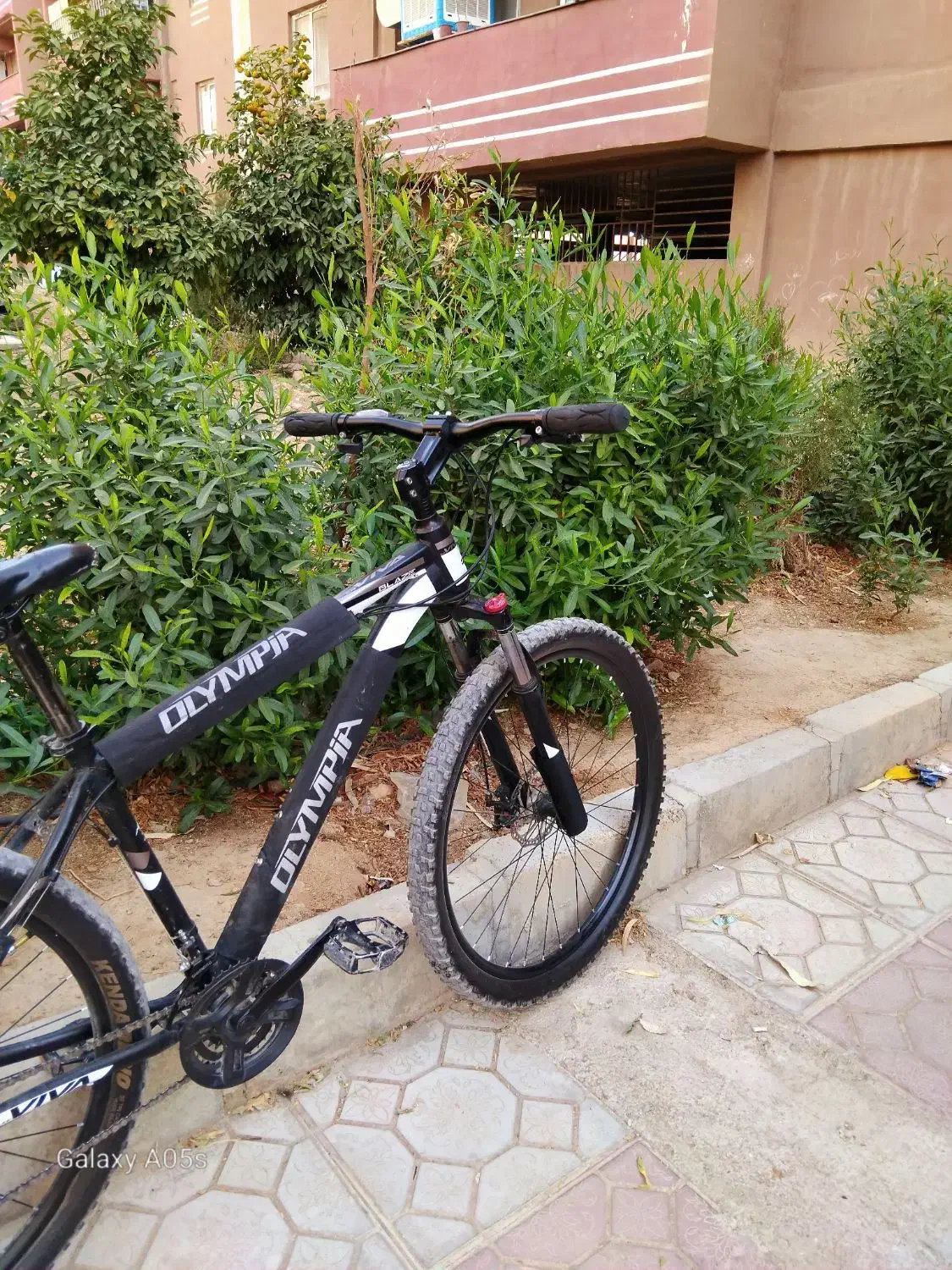 دوچرخه|دوچرخه، اسکیت، اسکوتر|فیروزآباد (فارس), |دیوار