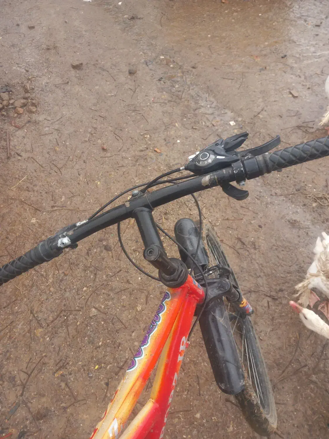 دوچرخه|دوچرخه، اسکیت، اسکوتر|بیرانوند, |دیوار