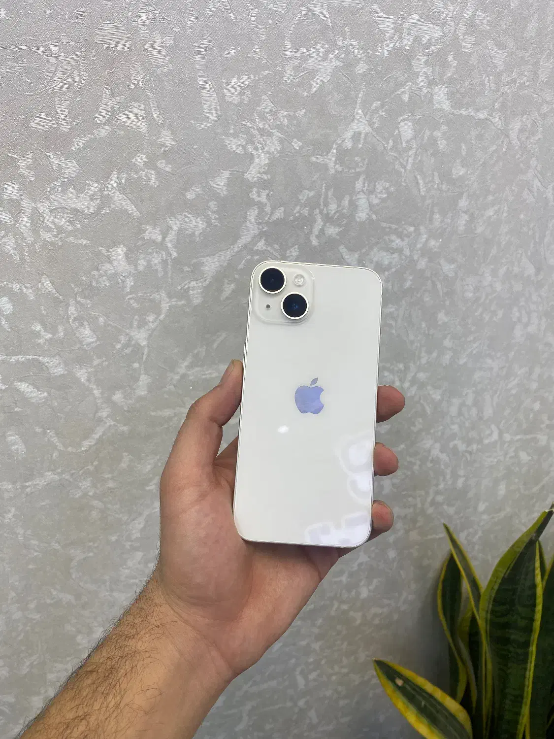 Iphone14 /normal / starlight|موبایل|اصفهان, مفتح|دیوار