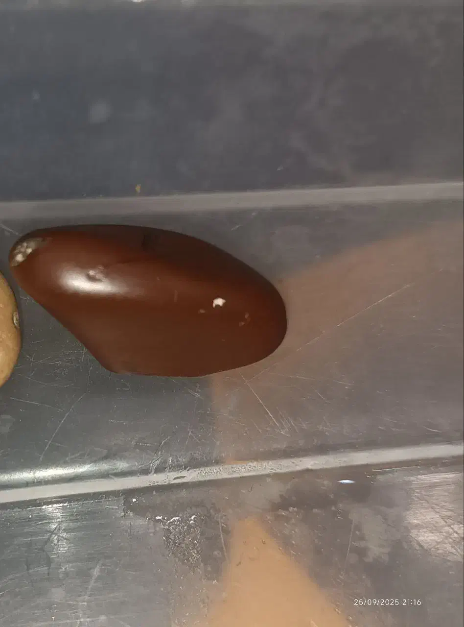 سنگ|زیورآلات و اکسسوری|تربت جام, فاز ۲ فرهنگیان|دیوار