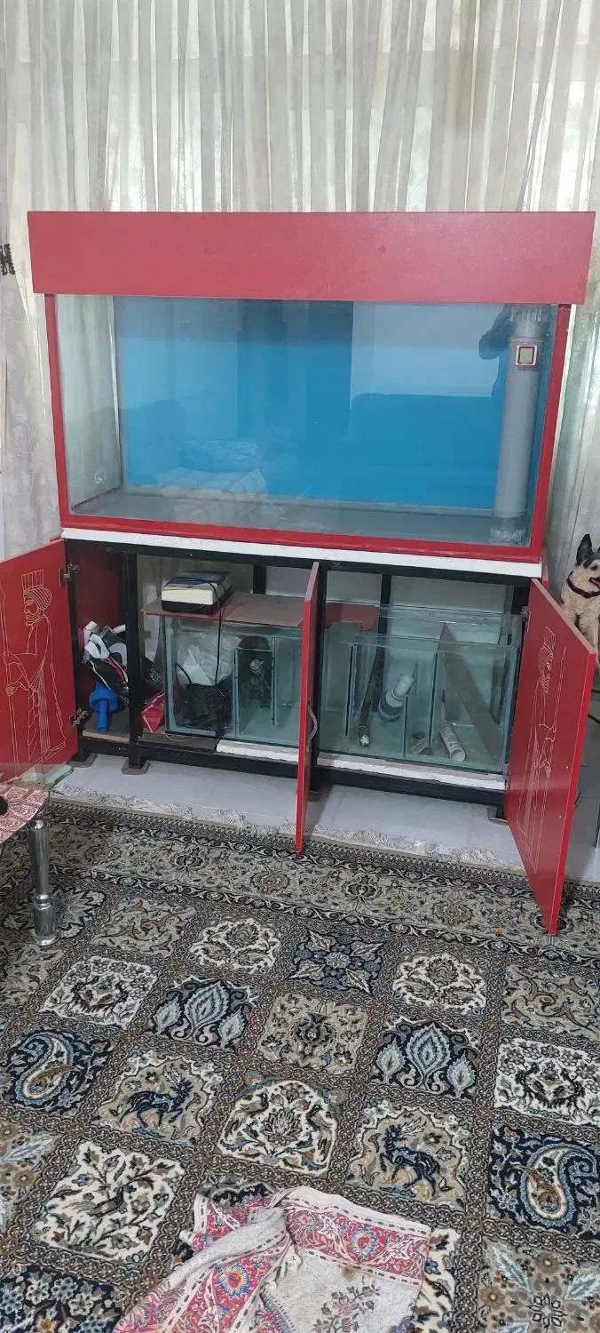 آکواریوم آب شور وشیرین|لوازم جانبی حیوانات|فولادشهر, A2|دیوار