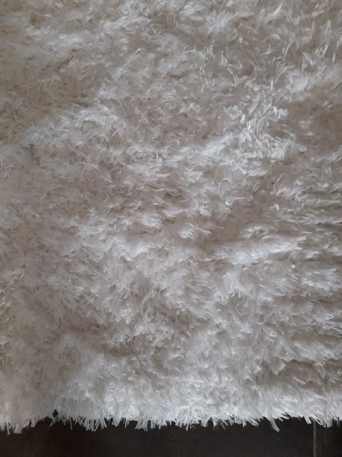 فرش ۴ متری|فرش|کیش, |دیوار