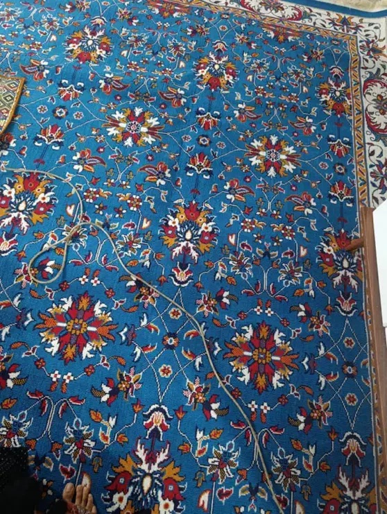 گلیم طرح فرش نو|گلیم، جاجیم، گبه|اهواز, کوی علوی|دیوار